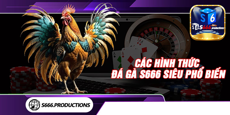 Các hình thức đá gà S666 siêu phổ biến