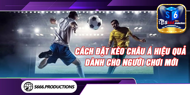 Cách đặt kèo châu Á hiệu quả dành cho người chơi mới